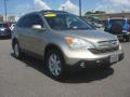 2007 CR-V EX-L #10 2007 CR-V EX-L #10