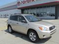 2007 RAV4 4WD #10