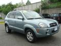 2006 Tucson Limited 4x4 #3