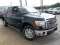 2013 F150 Lariat SuperCrew 4x4 #7