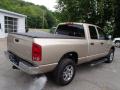2003 Ram 1500 SLT Quad Cab 4x4 #8