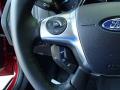 2013 Focus SE Sedan #21