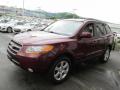 2009 Santa Fe SE 4WD #6 2009 Santa Fe SE 4WD #6