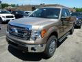 2013 F150 XLT SuperCab 4x4 #5