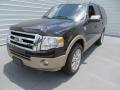 Front 3/4 View of 2013 Ford Expedition King Ranch #7