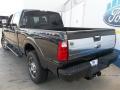 2013 F250 Super Duty Platinum Crew Cab 4x4 #4