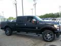 2013 F250 Super Duty Platinum Crew Cab 4x4 #6