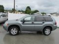  2008 Mitsubishi Endeavor Satin Meisai Pearl #2