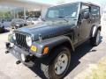 2006 Wrangler Unlimited Rubicon 4x4 #3