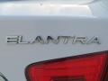 2010 Elantra GLS #16