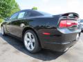 2013 Charger SE #2 2013 Charger SE #2
