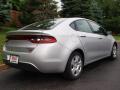 2013 Dart Aero #3