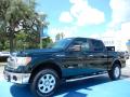 2013 F150 XLT SuperCrew 4x4 #1