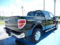 2013 F150 XLT SuperCrew 4x4 #3