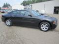 2010 Charger SXT #10 2010 Charger SXT #10