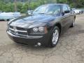 2010 Charger SXT #14 2010 Charger SXT #14