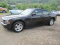 2010 Charger SXT #15 2010 Charger SXT #15