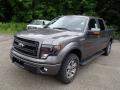 2013 F150 FX4 SuperCrew 4x4 #4