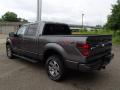 2013 F150 FX4 SuperCrew 4x4 #6
