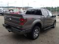 2013 F150 FX4 SuperCrew 4x4 #8
