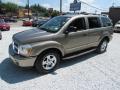 2004 Durango Limited 4x4 #10