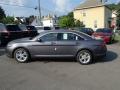  2014 Ford Taurus Sterling Gray #8