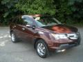 2008 MDX Technology #1