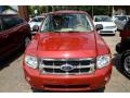 2011 Escape XLT 4WD #2