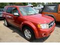 2011 Escape XLT 4WD #3