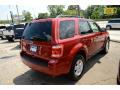 2011 Escape XLT 4WD #4