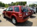 2011 Escape XLT 4WD #6