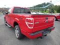 2009 F150 STX Regular Cab #4