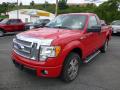 2009 F150 STX Regular Cab #5