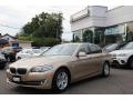 2013 5 Series 528i Sedan #1