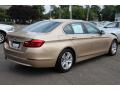 2013 5 Series 528i Sedan #5