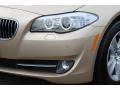 2013 5 Series 528i Sedan #31