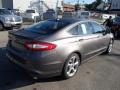 2013 Fusion SE #5 2013 Fusion SE #5