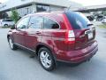2010 CR-V EX-L AWD #3