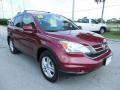2010 CR-V EX-L AWD #11