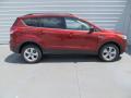 2014 Escape SE 1.6L EcoBoost #3
