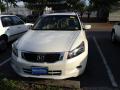 2010 Accord EX-L V6 Sedan #3