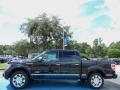 2013 F150 Platinum SuperCrew #2
