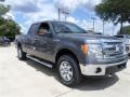 2013 F150 XLT SuperCrew 4x4 #7 2013 F150 XLT SuperCrew 4x4 #7