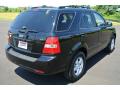 2009 Sorento LX #5 2009 Sorento LX #5