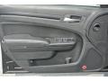 Door Panel of 2014 Chrysler 300 S #10