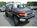 2007 FJ Cruiser 4WD #2
