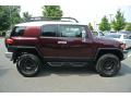 2007 FJ Cruiser 4WD #6