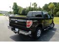 2013 F150 XLT SuperCrew 4x4 #5