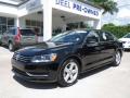 2013 Passat 2.5L SE #1 2013 Passat 2.5L SE #1