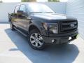 2013 F150 FX4 SuperCrew 4x4 #2